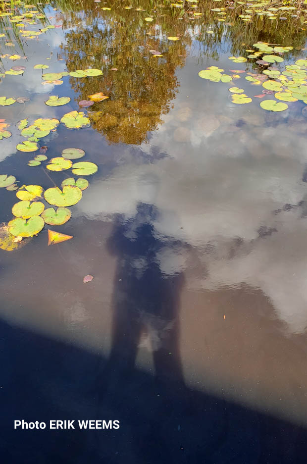 Erik Weems in Virginia